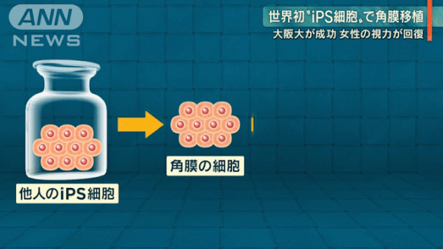 2.gif